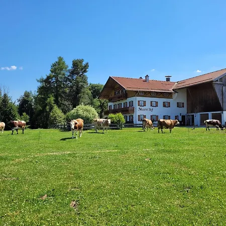 Maurer Hof Apartman *